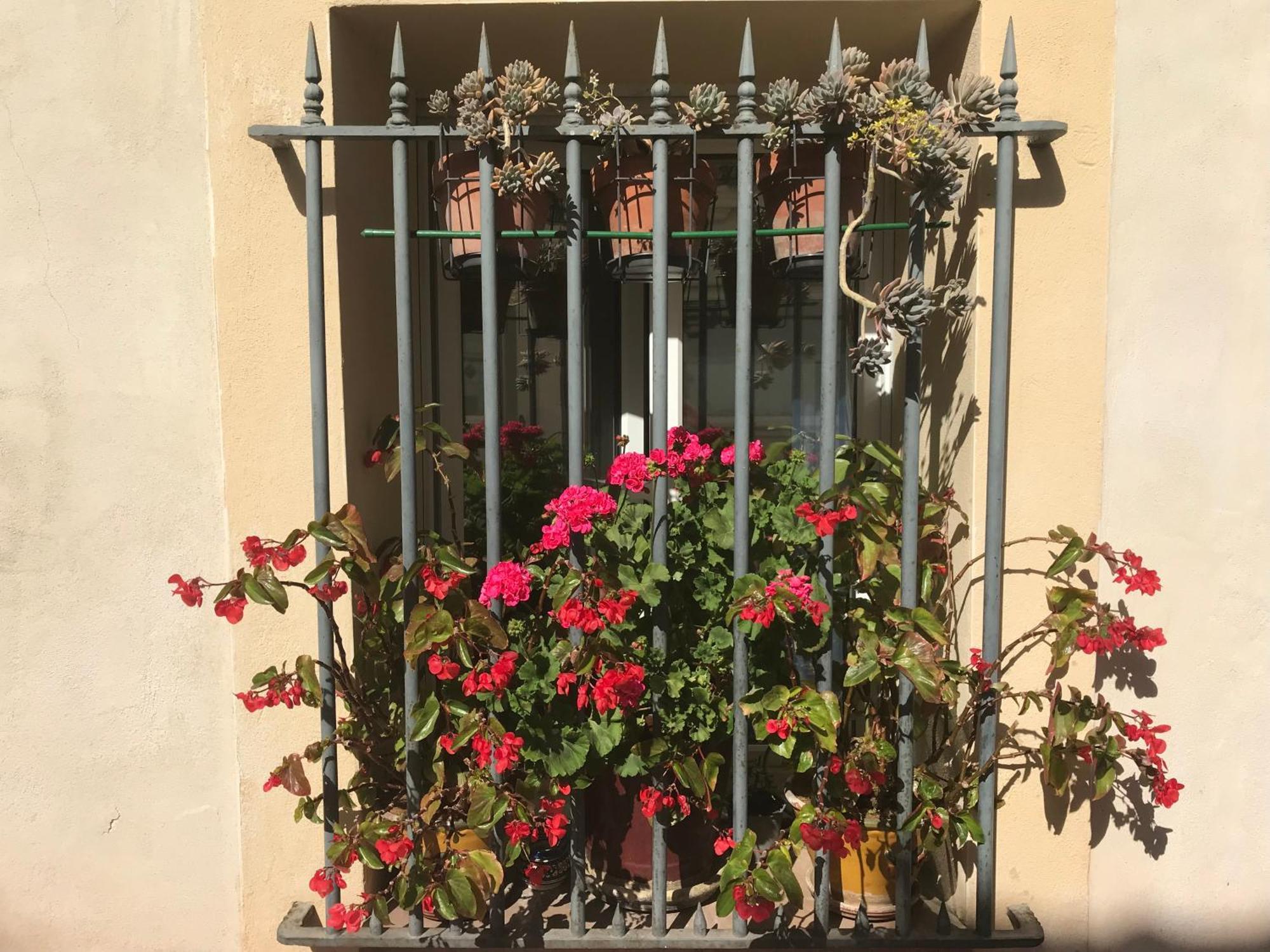 Simone'S Houses Montpellier Exterior photo
